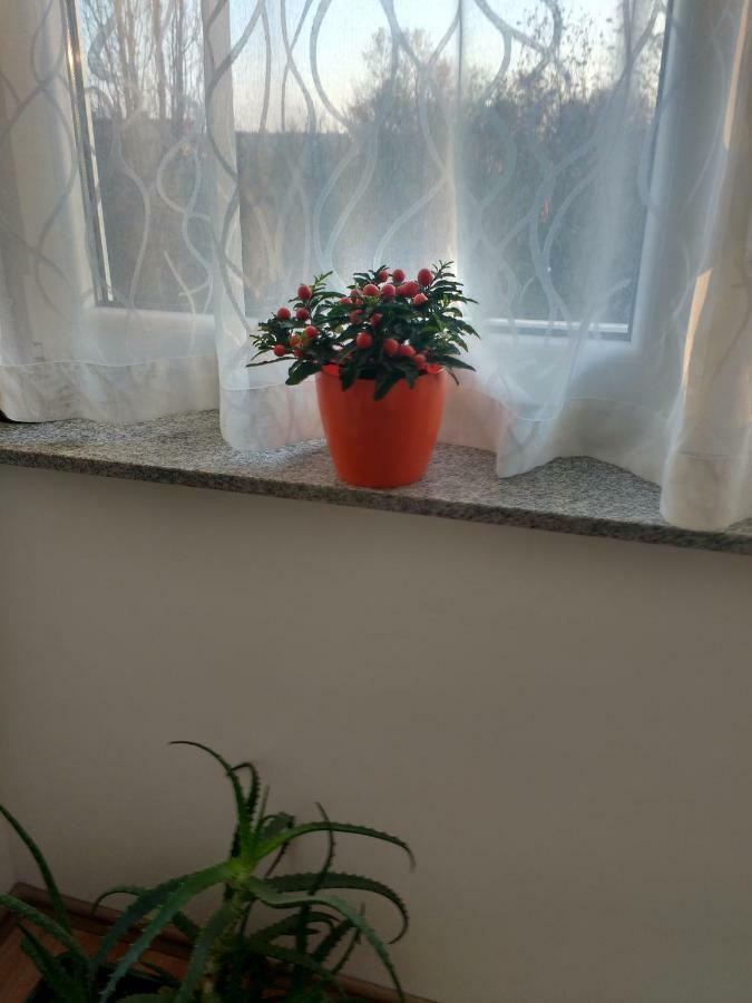 Meridian Apartment , 300M To Bus Terminal, Fast Wifi & Airport Transf زغرب المظهر الخارجي الصورة